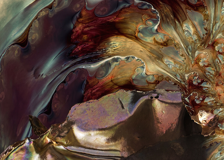 FA_01S1