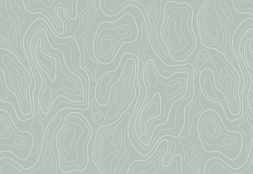 FA_01S1