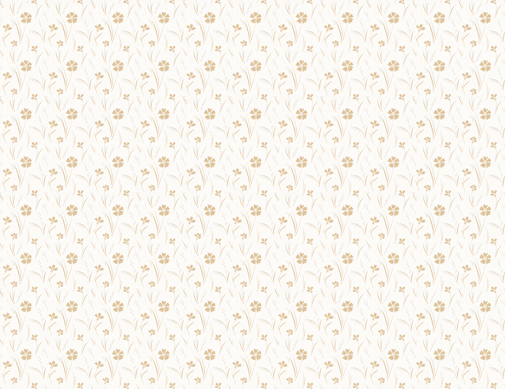 FA_01S1