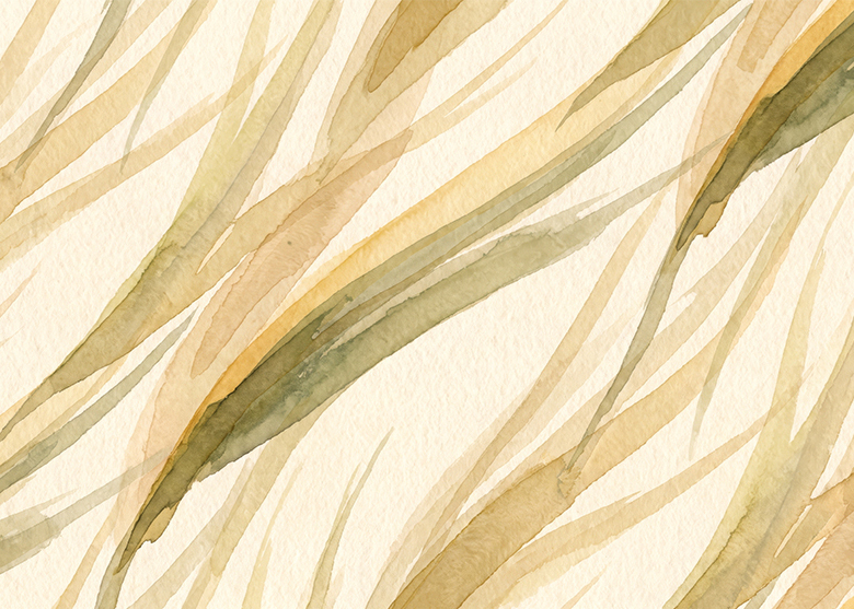 FA_01S1