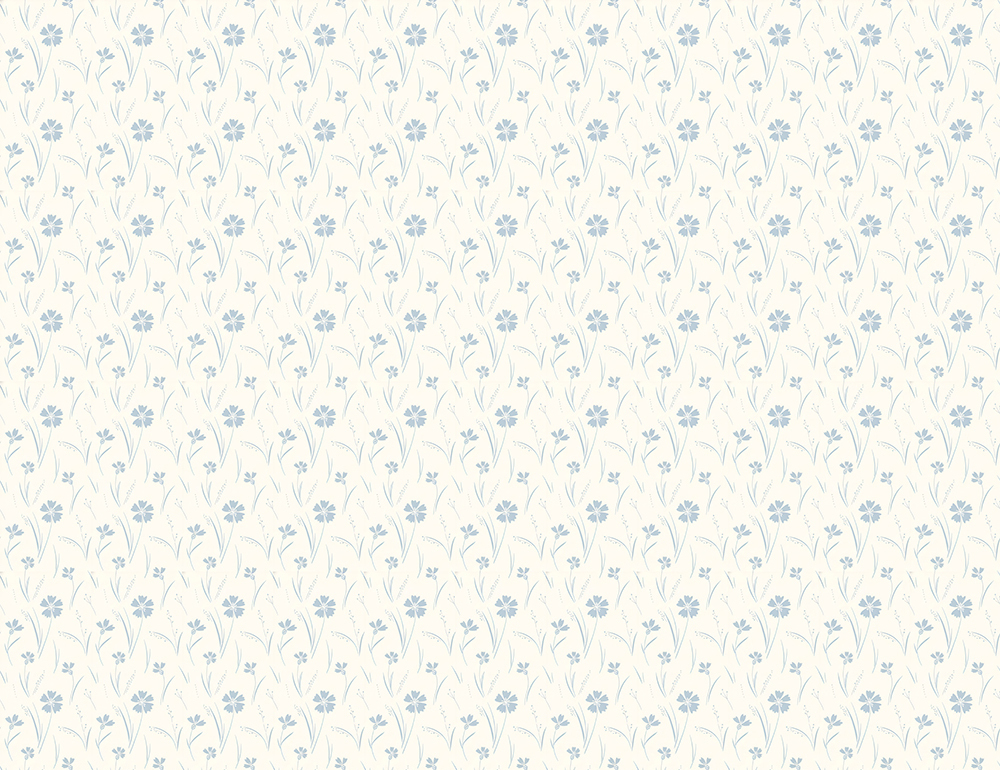 FA_01S1